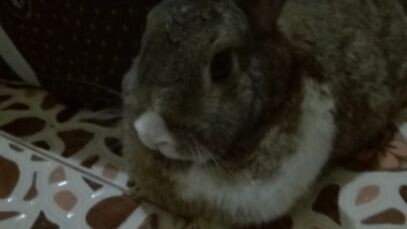 My love