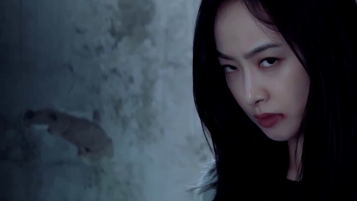 [Song Qian·Strange Lover] Sister, don’t look at me like that!!! awsl! The fish that was killed stood
