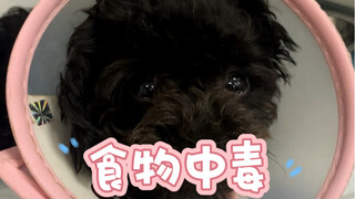 Pet owners, please, PLEASE, ABSOLUTELY MUST keep your dogs on a leash when taking them for a walk. I