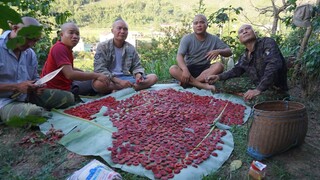 MÓN ĂN TỐN NƯỚC BỌT NHẤT