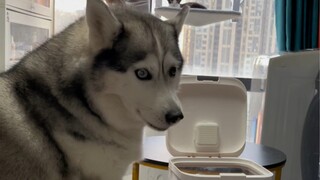 狗子：什么三粒？我看到的是满满一桶