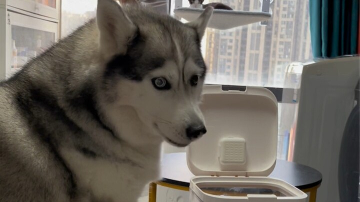 狗子：什么三粒？我看到的是满满一桶