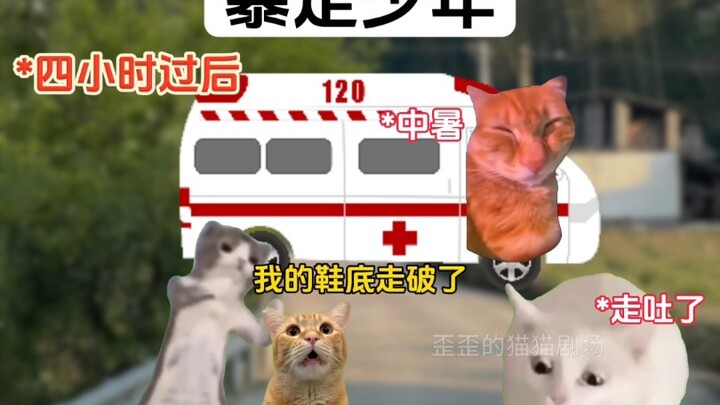 暴走少年