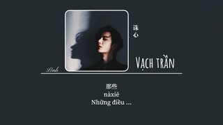 [Vietsub] Vạch Trần • Tần Hải Thanh ♪ 誅心 • 秦海清