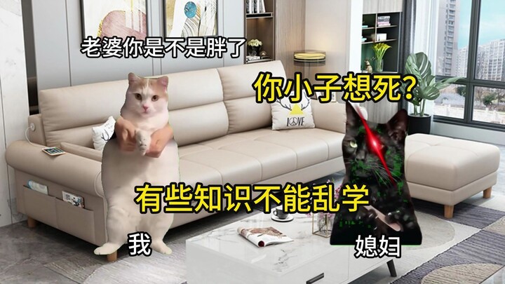 【Cat Meme】Some knowledge is best left unlearned