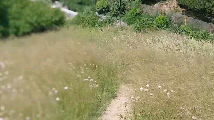 استعد لقمة القبر، لقد أفزعتني!