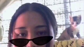Marah kenapa kucingnya