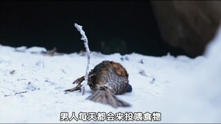 男人救下两只幼虎，没想到幼虎长大后前来报恩，《大虎》第二集