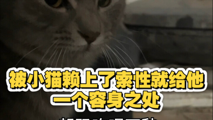 Fate Begins Right Now