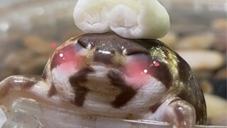 Bánh bao hấp suối nước nóng