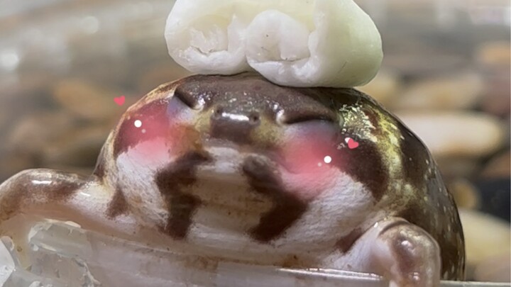 温泉煮馒头