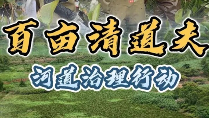 เปิดปฏิบัติการกำจัดรังของสัตว์รุกรานต่างถิ่น ผู้ทำหน้าที่เก็บกวาดในลำคลองขนาดร้อยหมู่