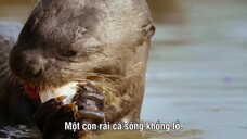Big Beasts EP 03 [Sub Việt]