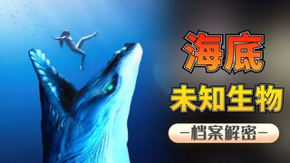 Enam monster laut dalam, tiga kali lebih besar dari paus biru, memangsa hiu paus! Siapa yang berkuas
