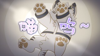 被迫营业的大猫猫