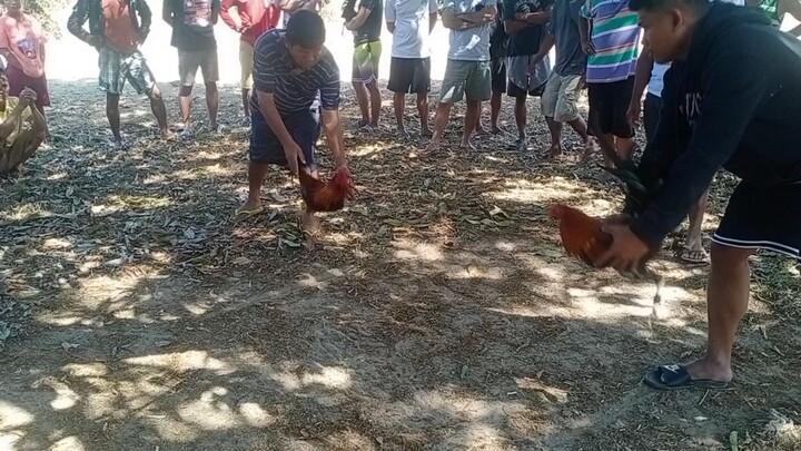tupada sa mangahan