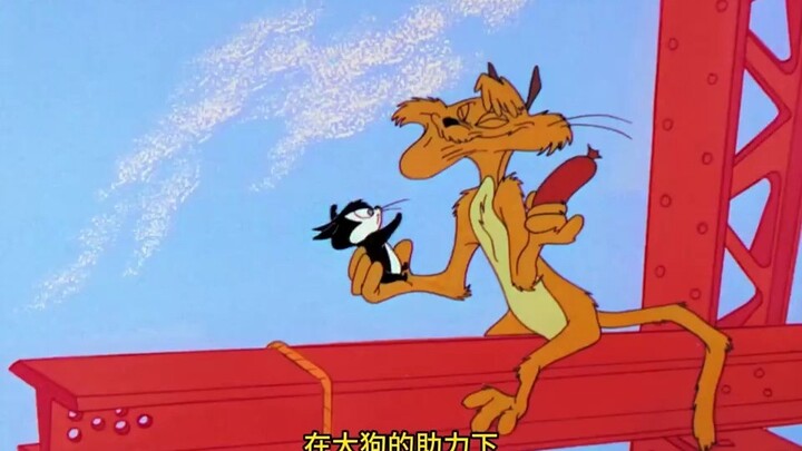 凶恶的大狗却被没满月的小猫给制服