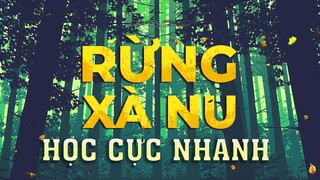 Tóm Tắt Kiến Thức Ngữ Văn 12 - Rừng Xà Nu (Nguyễn Trung Thành) - Học siêu nhanh trong 5 phút