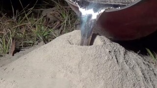 Menggunakan aluminium cair untuk membuat sarang semut api, Anthill Art hadir!