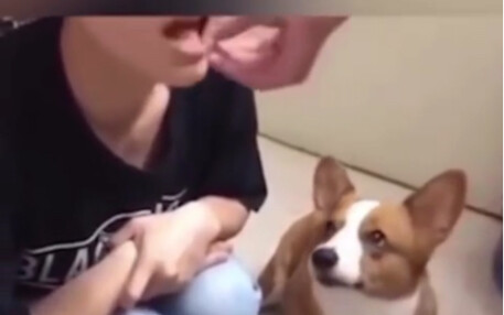 最好的教育还是言传身教！！