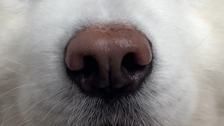 Tình cờ hôn nhẹ một cư dân mạng đi ngang qua