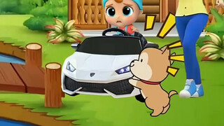 Anak anjing itu menyelamatkan Dudu!