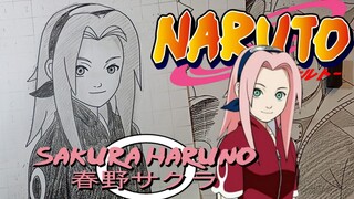 menggambar sakura haruno dari anime naruto