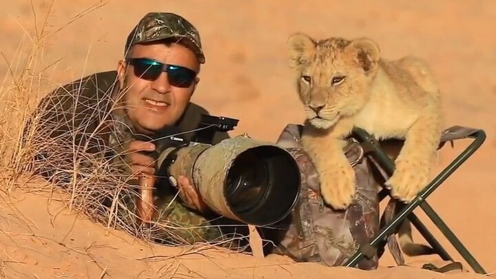 The daily work of a wildlife photographer is full of danger and joy.