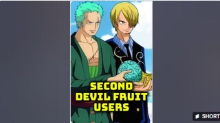 SECOND DEVIL FRUIT USERS