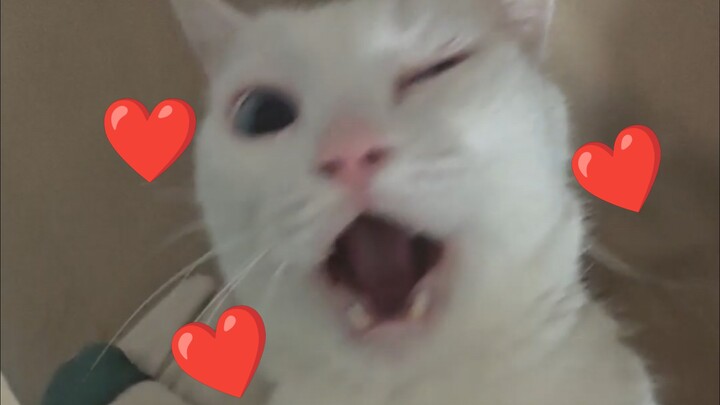So sweet oh oh oh!!!!