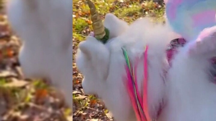 Posting ulang "unicorn" lucu ini dan semoga Anda beruntung di bulan November! Datang dan terima kasi