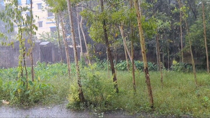 A rainy day and the view of Nature