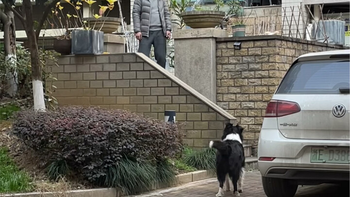 Kamu mampir ke rumahku buat numpang makan, aku mampir ke rumahmu buat numpang main—kita memang sahab