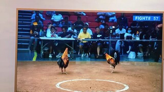 VS RV IBAAN