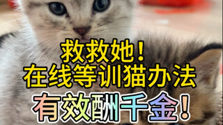 Selamatkan dia! Hadiah efektif seribu emas!