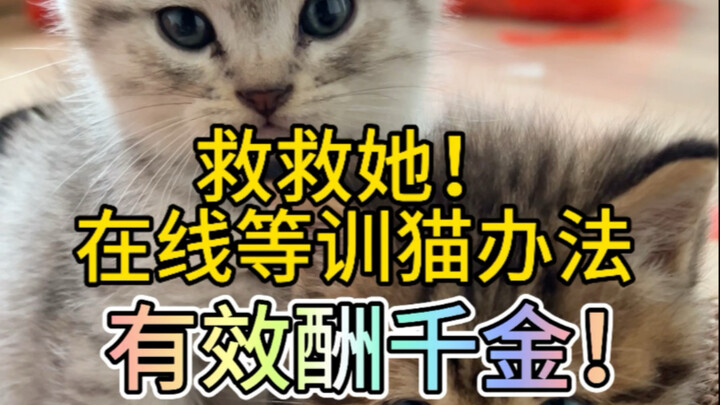 Cứu cô ấy đi! Thưởng lớn nếu hữu hiệu!