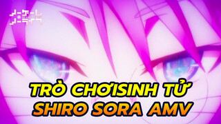 AMV Sora Dan Shiro Jangan Pernah Katakan Tidak!| No Game No Life