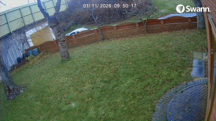 Suspect 1 - CH02-20260111-094712-095339