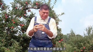 A man took a bite of an apple and found it was full of worms!