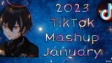 TIKTOK mashup 2023 JANUARY