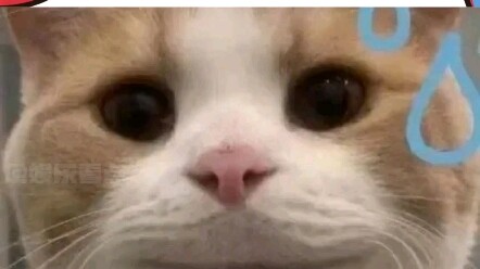 This scene feels so familiar... It's like I've encountered it somewhere before...