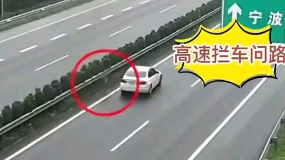 Driver Stops High-Speed Train to Ask for Directions