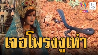 สะพรึง! คนงานขุดดินเจอโพรงงูเห่า ลูกน้อยยั้วเยี้ย คิดหนักเอาไงดี | ข่าวอรุณอมรินทร์ | 8/12/67