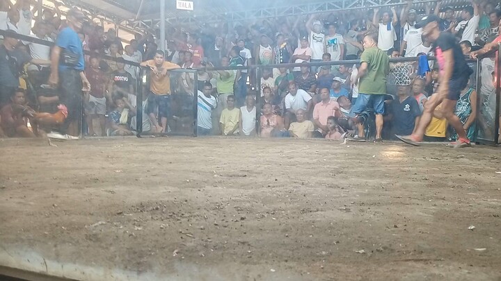 second fight winner @babak gallera. no scratch.