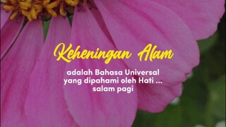 Keheningan Alam - Quotes Inspirasi Hari ini