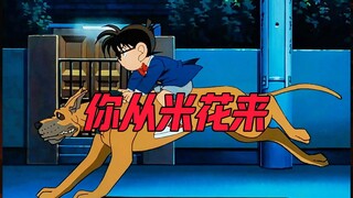 你 从 米 花 来