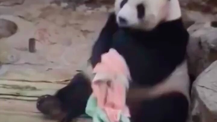 They’re even more skilled at wiping than I am 😂