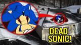 IF YOU SEE DEAD SONIC THE HEDGEHOG, RUN!! (ON CAMERA)