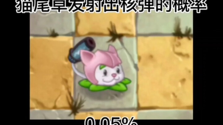 Extreme Data Comparison