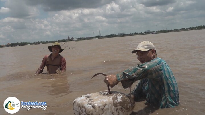 Cao Thủ Bắt Lịch Ở Sông Tiền Không Cần Chờ Nước Cạn | Hội Ngộ Miền Tây - Tập 661